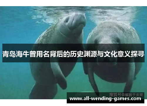 青岛海牛曾用名背后的历史渊源与文化意义探寻